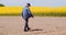 Agriculture - Farmer or Agronomist Walking on Agricultural Field and Looking at Rapeseed Yellow Flowers Crops.