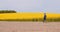 Agriculture - Farmer or Agronomist Walking on Agricultural Field and Looking at Rapeseed Yellow Flowers Crops.