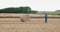 Agriculture Farmer examining field Modern Farming