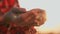 agriculture. farmer hands close-up with barley wheat grain. agriculture business concept. farmer holding grain for