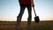 agriculture. farmer with a shovel walk in the field. agriculture business harvesting of a farmer man with shovel a walk