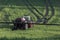 Agriculture - A farmer spraying fertilizer on his crops