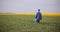 Agriculture - Farmer Walking on Field Examining Crops at Agricultural Farm.