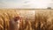 Agriculture, farming and growing grains concept. Summer wheat field and a hand holding a frosted glass card etched with wheat ears