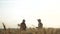 Agriculture farming silhouette two farmers men teamwork red neck in a field examining wheat crop at sunset. male farmers