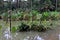 Agriculture farms are submerged in the flood water