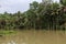 Agriculture farms are submerged in the flood water