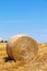 Agriculture. Field with bales of straw