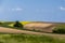 Agriculture field and blue sky