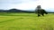 Agriculture Field with different green shades