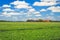 Agriculture. A field of flowering potatoes with a large farm in the background.