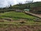 Agriculture field in Ooty,Tamilnadu,India