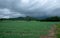 agriculture field and Storm dark clouds comming