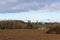 Agriculture fields, meadows and bare winter trees at the borders of Anderlecht, Brussels