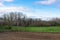 Agriculture fields, meadows and bare winter trees at the borders of Anderlecht, Brussels