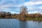 Agriculture fields, meadows and bare winter trees at park lakes of Anderlecht, Brussels