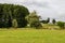 Agriculture fields, trees and green lawns at the Flemish countryside