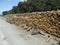 Agriculture, Forestry - pile of wood