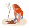 Agriculture and gardering concept. a man plants a tree.