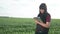 Agriculture. girl studying the crop eco smart farming with digital tablet. lifestyle red farmer neck worker working in a
