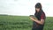 Agriculture. girl studying the crop eco smart farming with digital tablet. red farmer neck lifestyle worker working in a