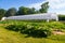 Agriculture greenhouse and gardens with squash plants in the fo