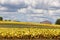 Agriculture Grounds in Northeastern Tennessee