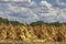 Agriculture Grounds in Northeastern Tennessee