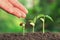 Agriculture hand nurtur watering young plants growing step on so