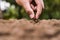 agriculture hand planting seeds red beans