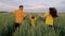 agriculture, happy family running in green wheat field, farm life in the countryside, land work plantation, childhood