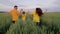 agriculture, happy family running in green wheat field, farm life in the countryside, land work plantation, childhood