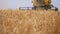 Agriculture. Harvester machine to harvest wheat field cuts golden ripe wheat field