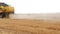 Agriculture. Harvester machine to harvest wheat field cuts golden ripe wheat field