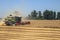 Agriculture, harvesting wheat, combine harvester on the field harvesting wheat