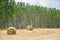 Agriculture - Haying - Round Bales - Aspen Grove