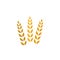 Agriculture icon or logo, golden wheat sign