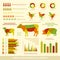 Agriculture infographics flat design elements