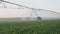 agriculture irrigation. green a field wheat farm irrigation water drops. agriculture business concept. field crop green