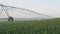 agriculture irrigation. green a field wheat irrigation farm water drops. agriculture business concept. field crop green