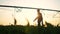 agriculture irrigation. silhouette farmer with a tablet walks through a field with corn and a plant for irrigating the