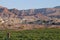 Agriculture in Jordan Valley
