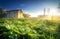 Agriculture landscape with old stone house in sunshine, blue sky, green grass field. Traditional concept of ecological background