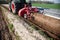 Agriculture machines on asparagus field