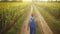 agriculture. a male farmer walk along a road among a field of sunflowers. farm agriculture business concept. sun man