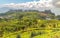 Agriculture in the mountains at Haputale in Sri Lanka