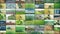 Agriculture multiscreen. Field processing collage. Agricultural industry split screen video. agricultural industry