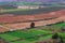 Agriculture near Sastago in Spain