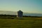 Agriculture plants at evening