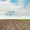 Agriculture plowed field and low clouds